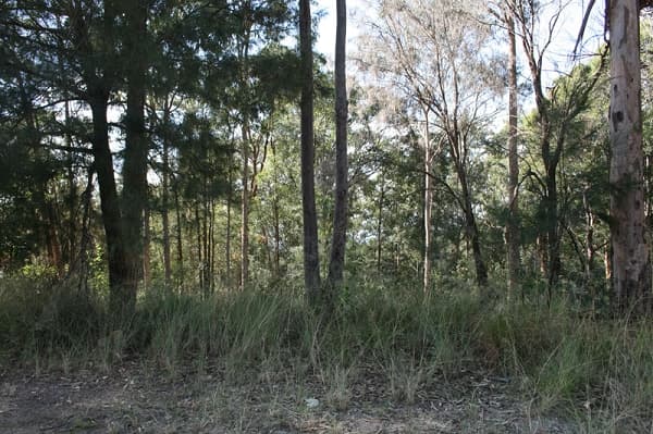 135 Macquarie Road, Springwood, NSW, 2777, Hawkesbury Heights - Thumbnail 4