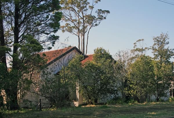 135 Macquarie Road, Springwood, NSW, 2777, Springwood - Image 1