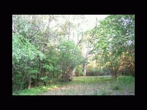 135 Macquarie Road, Springwood, NSW, 2777, Springwood - Thumbnail 8