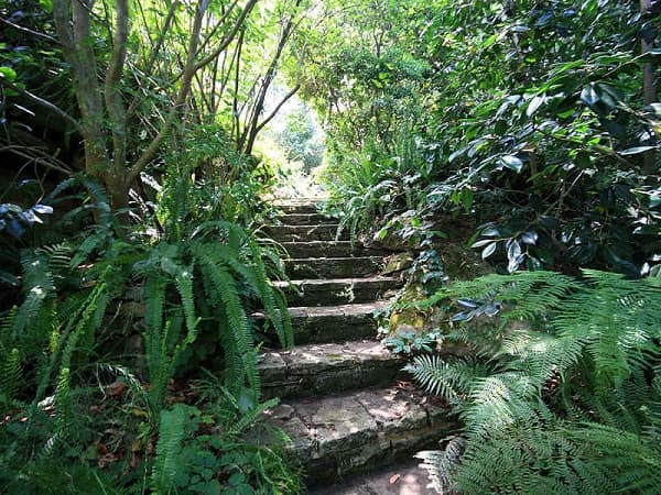 135 Macquarie Road, Springwood, NSW, 2777, Springwood - Image 1