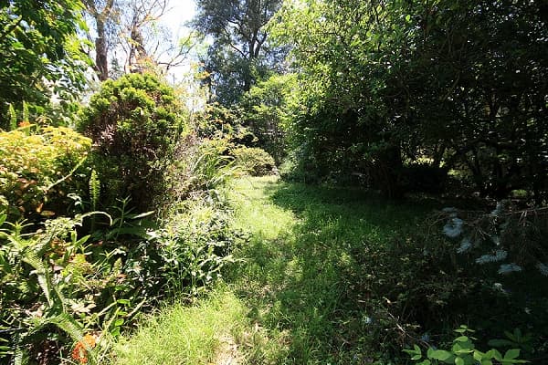 135 Macquarie Road, Springwood, NSW, 2777, Springwood - Thumbnail 4