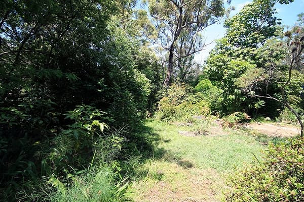 135 Macquarie Road, Springwood, NSW, 2777, Springwood - Thumbnail 5