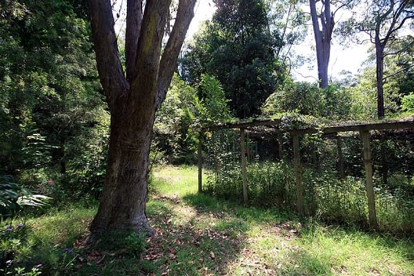 135 Macquarie Road, Springwood, NSW, 2777, Springwood - Thumbnail 6