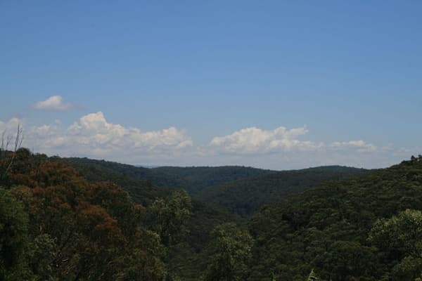Address Withheld, Faulconbridge, NSW, 2776, Faulconbridge - Thumbnail 4