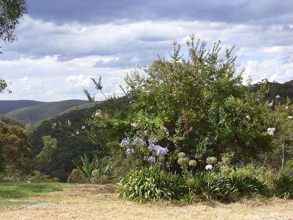 Address Withheld, Faulconbridge, NSW, 2776, Faulconbridge - Thumbnail 5