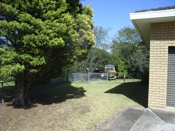 135 Macquarie Road, Springwood, NSW, 2777, Winmalee - Thumbnail 6