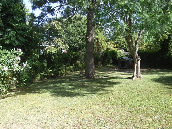 135 Macquarie Road, Springwood, NSW, 2777, Winmalee - Thumbnail 7
