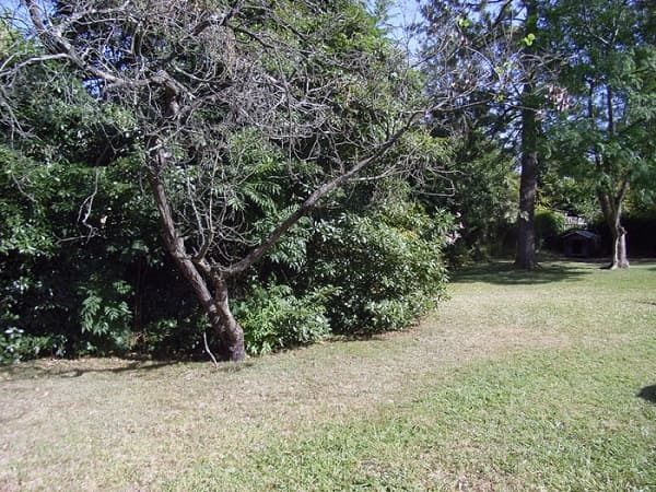 135 Macquarie Road, Springwood, NSW, 2777, Winmalee - Thumbnail 8