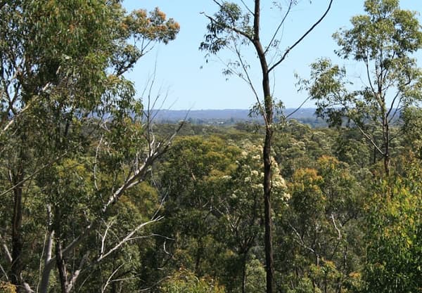 Address Withheld, Yellow Rock, NSW, 2777, Yellow Rock - Thumbnail 5