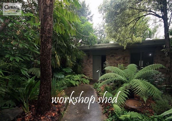 Address Withheld, Winmalee, NSW, 2777, Winmalee - Thumbnail 2