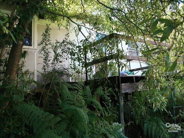 Address Withheld, Faulconbridge, NSW, 2776, Faulconbridge - Thumbnail 5