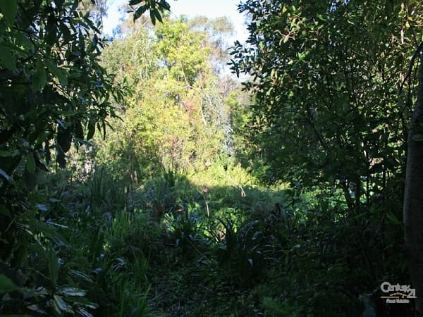 Address Withheld, Faulconbridge, NSW, 2776, Faulconbridge - Thumbnail 6