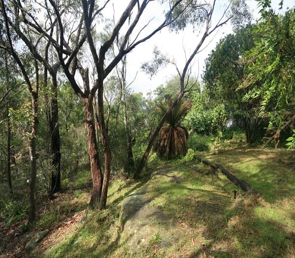 Address Withheld, Woodford, NSW, 2778, Woodford - Thumbnail 8