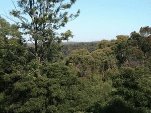 36 Valley Road, Springwood, NSW, 2777, Springwood - Thumbnail 8