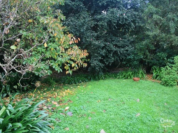 Address Withheld, Springwood, NSW, 2777, Springwood - Thumbnail 2