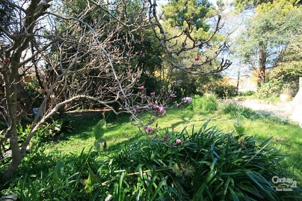 Address Withheld, Springwood, NSW, 2777, Springwood - Thumbnail 4