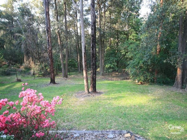 Address Withheld, Springwood, NSW, 2777, Springwood - Thumbnail 2