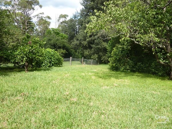 48 Macquarie Rd, Springwood, NSW, 2777, Springwood - Thumbnail 8