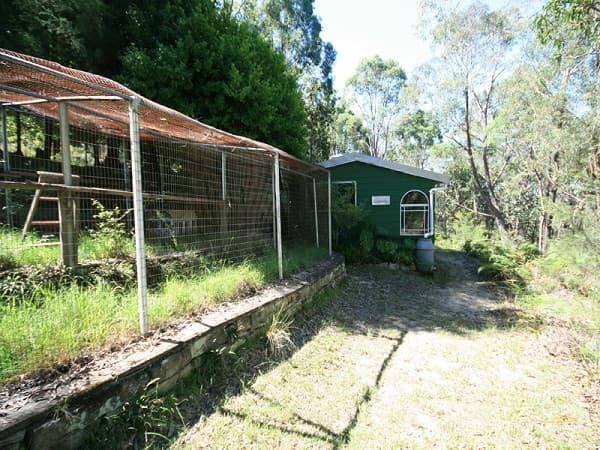 Address Withheld, Faulconbridge, NSW, 2776, Faulconbridge - Thumbnail 5