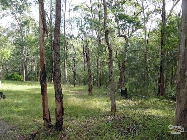 Address Withheld, Yellow Rock, NSW, 2777, Yellow Rock - Thumbnail 6