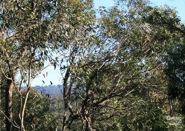 Address Withheld, Woodford, NSW, 2778, Woodford - Thumbnail 4