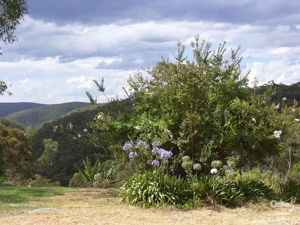 Address Withheld, Faulconbridge, NSW, 2776, Faulconbridge - Thumbnail 4