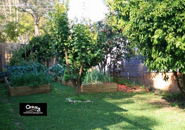 Address Withheld, Springwood, NSW, 2777, Springwood - Thumbnail 7