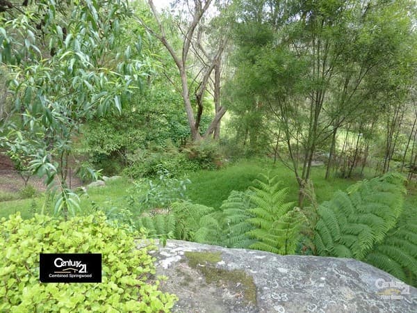 135 Macquarie Road, Springwood, NSW, 2777, Springwood - Thumbnail 6