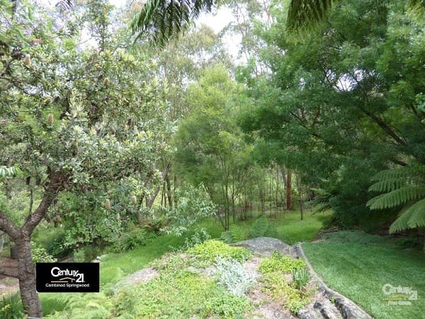 135 Macquarie Road, Springwood, NSW, 2777, Springwood - Thumbnail 7