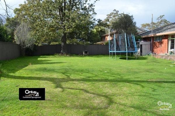 Address Withheld, Faulconbridge, NSW, 2776, Faulconbridge - Thumbnail 7