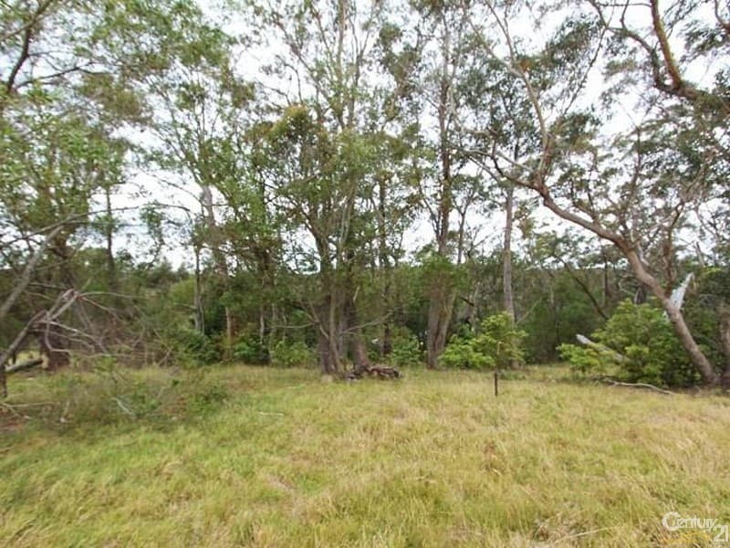 6 Antrim Place, Hazelbrook, NSW, 2779, Hazelbrook - Thumbnail 2