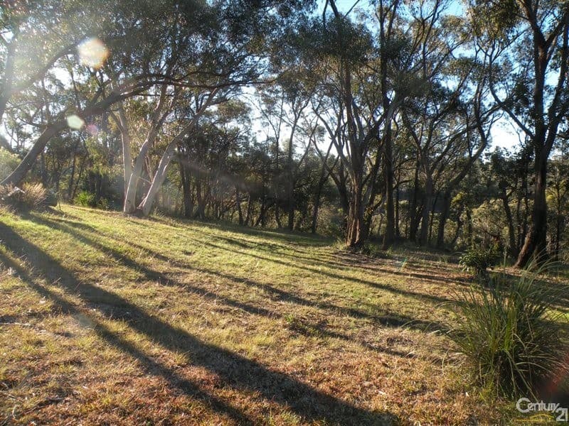 29 Lysiana Road, Woodford, NSW, 2778, Woodford - Thumbnail 2
