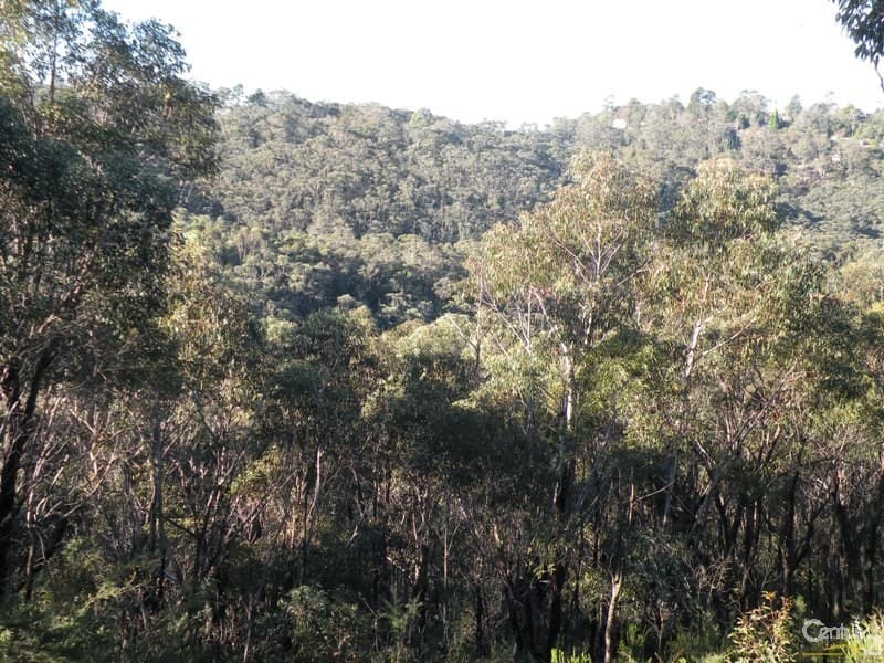 29 Lysiana Road, Woodford, NSW, 2778, Woodford - Thumbnail 3