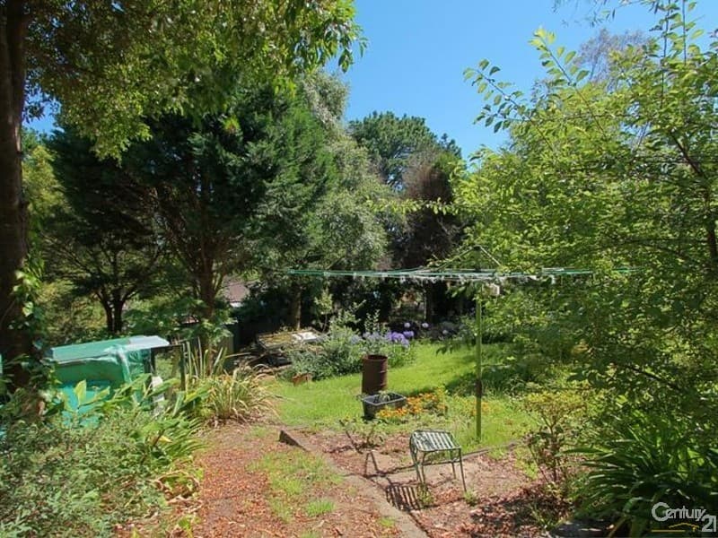 15 Kingsway, Hazelbrook, NSW, 2779, Hazelbrook - Thumbnail 5