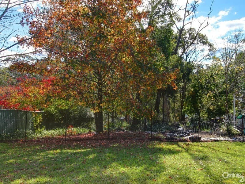 6 Hilltop Avenue, Hazelbrook, NSW, 2779, Hazelbrook - Thumbnail 3