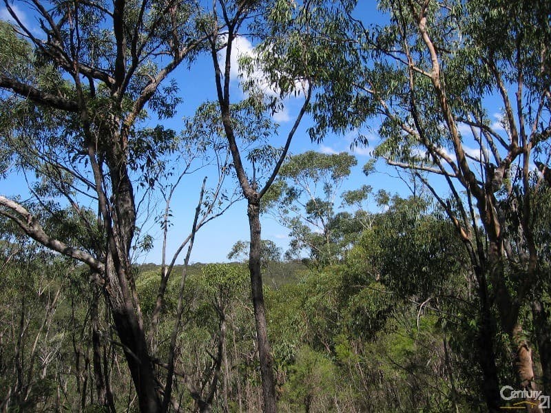16 Eastern Ave, Hazelbrook, NSW, 2779, Hazelbrook - Image 1