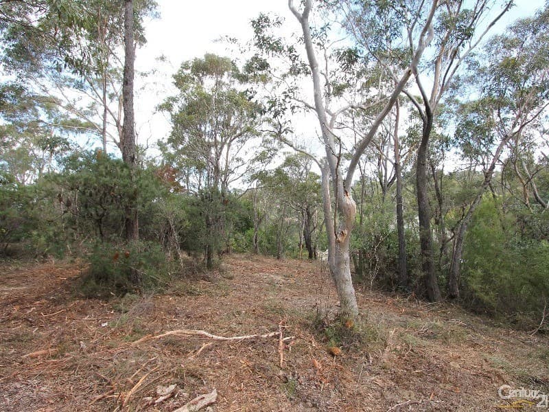 26 Charles St, Lawson, NSW, 2783, Lawson - Thumbnail 2