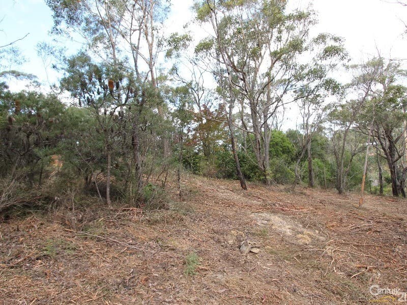 26 Charles St, Lawson, NSW, 2783, Lawson - Thumbnail 3