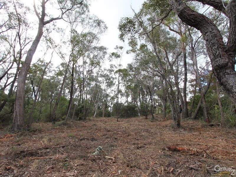 26 Charles St, Lawson, NSW, 2783, Lawson - Thumbnail 4