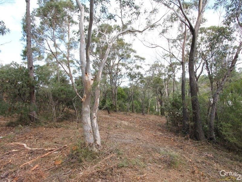 26 Charles St, Lawson, NSW, 2783, Lawson - Thumbnail 5