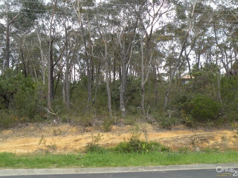 26 Charles St, Lawson, NSW, 2783, Lawson - Thumbnail 6