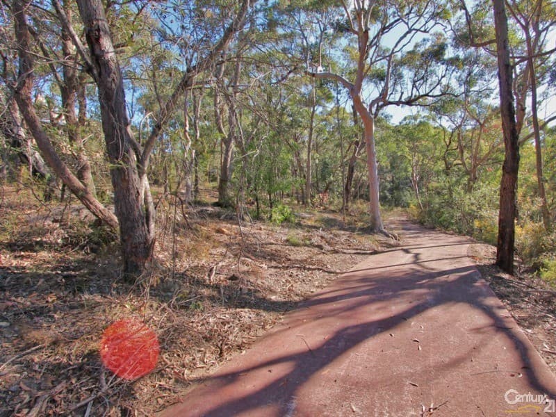 11 Dobson Dorking Place, Faulconbridge, NSW, 2776, Faulconbridge - Thumbnail 3
