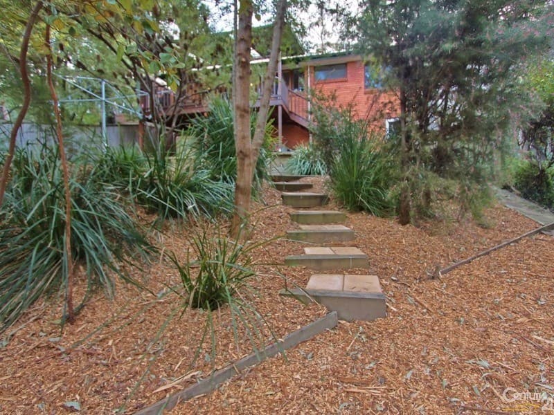 6 George Street, Hazelbrook, NSW, 2779, Hazelbrook - Thumbnail 7