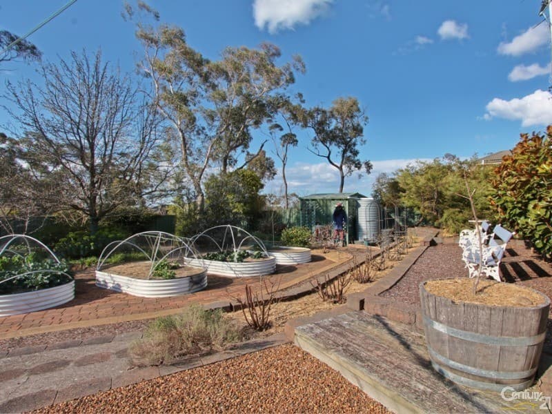 8 Queens View Crescent, Lawson, NSW, 2783, Lawson - Thumbnail 7