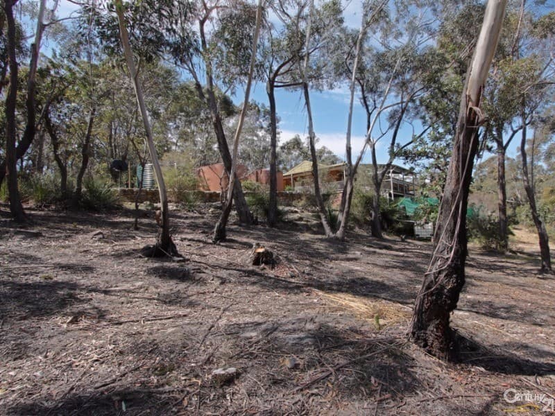 44 Wiltshire Drive, Gordonvale, QLD, 4865, Gordonvale - Thumbnail 8