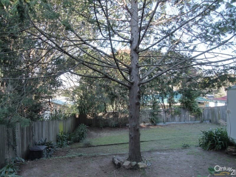 15 Winbourne Road, Hazelbrook, NSW, 2779, Hazelbrook - Thumbnail 7