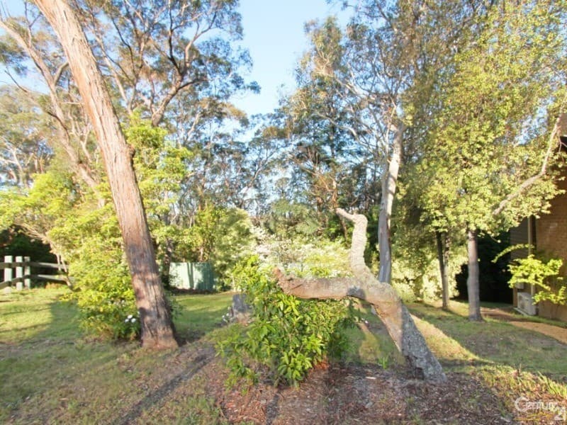 14 Hay Street, Lawson, NSW, 2783, Lawson - Thumbnail 6