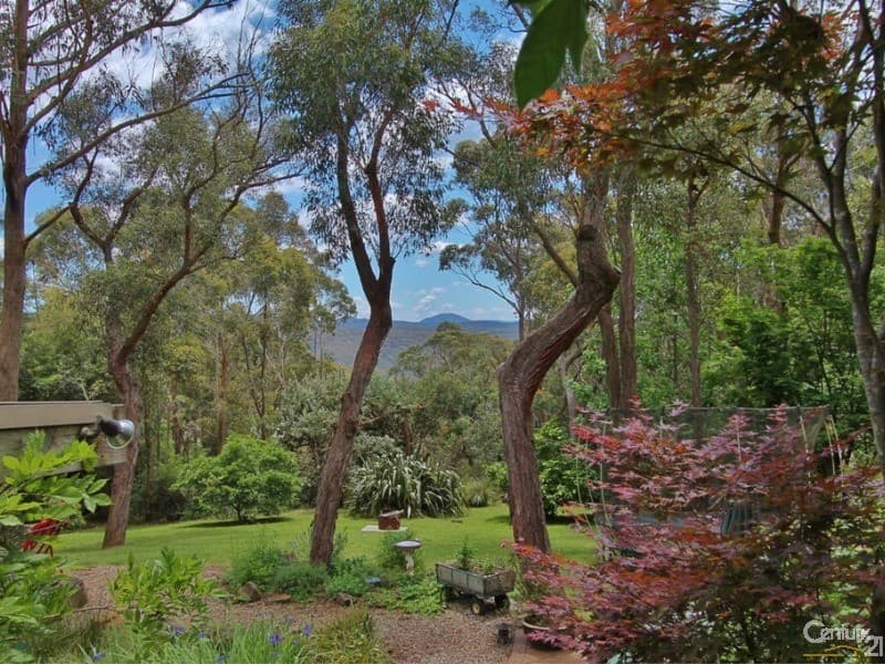 130 Henderson Road, Wentworth Falls, NSW, 2782, Wentworth Falls - Thumbnail 2