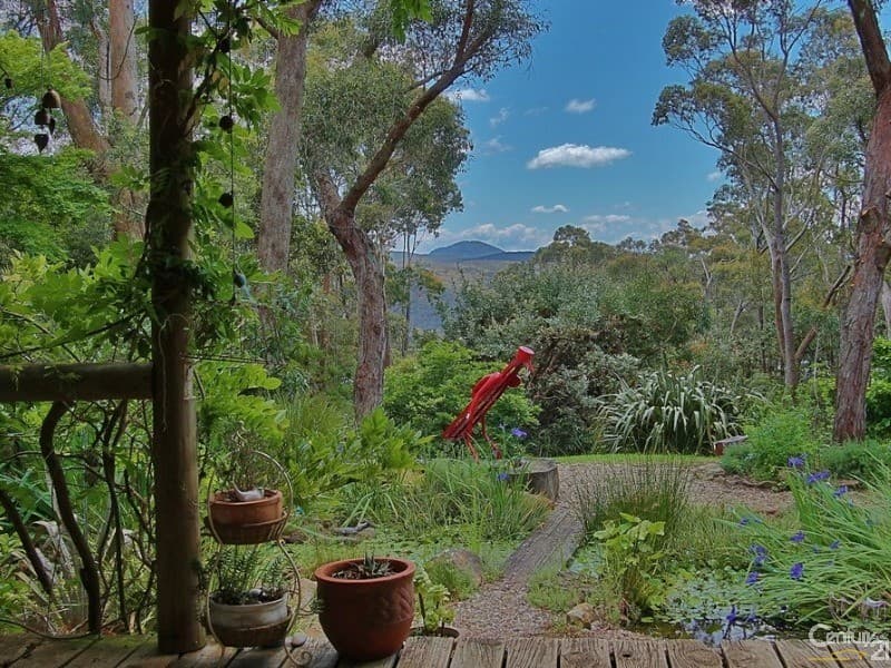 130 Henderson Road, Wentworth Falls, NSW, 2782, Wentworth Falls - Thumbnail 4