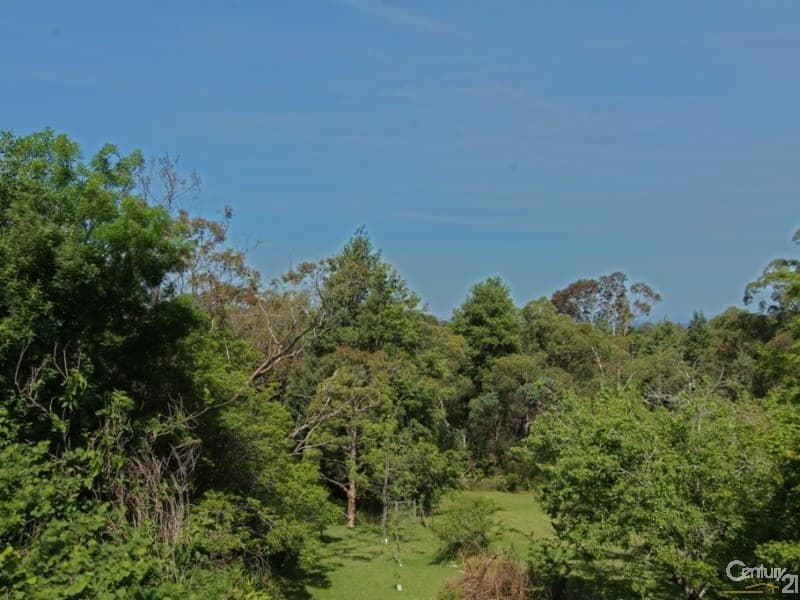 31 Highland Road, Faulconbridge, NSW, 2776, Faulconbridge - Thumbnail 4